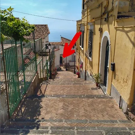 Cerasella -vista Mare- Holiday home